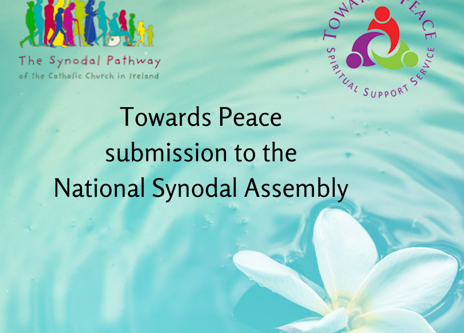Towards Peace submission to the National Synodal Assembly